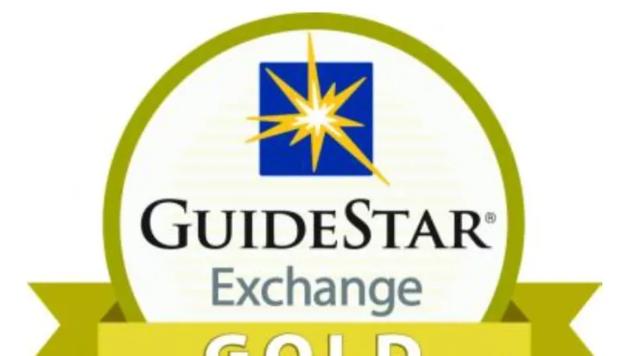 IAPW 2015 in Review | Guidestar Gold logo